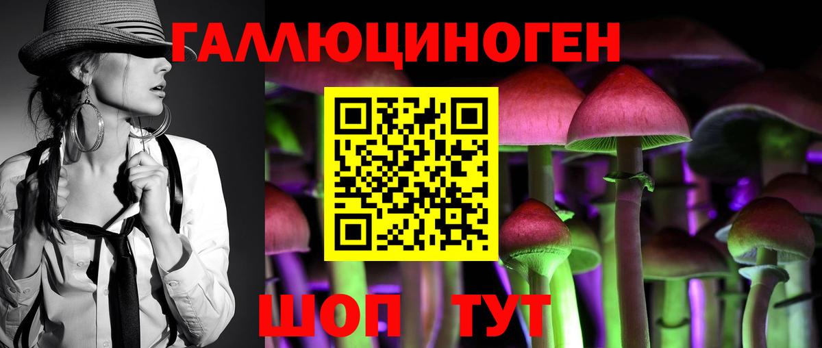 Галлюциногенные грибы ЛСД Гусиноозёрск